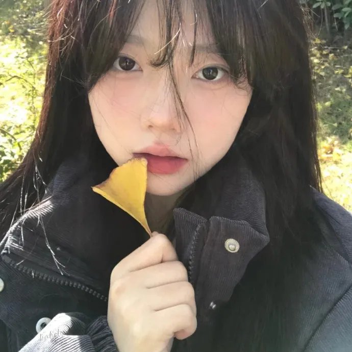 命运航班第三季
